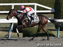 カラープリント(アルミ枠なし)2016年12月18日阪神1R 2歳未勝利(ケンシン)