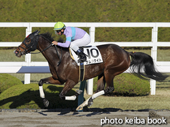 カラープリント(アルミ枠なし)2016年12月18日阪神8R 3歳上1000万下(ナムラケイト)