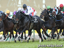 カラープリント(アルミ枠なし)2016年12月18日阪神9R 元町ステークス(ロイカバード)