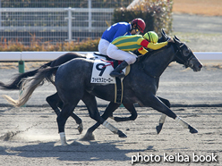 カラーパネル2016年12月18日中京2R 3歳上500万下(ファビラスヒーロー)