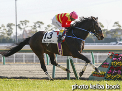 カラープリント(アルミ枠なし)2016年12月18日中京4R 障害未勝利(ハギノパトリオット)