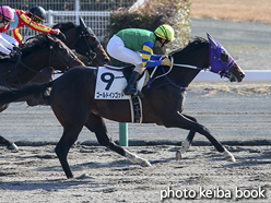 カラーパネル2016年12月18日中京6R 3歳上500万下(ゴールドインゴット)