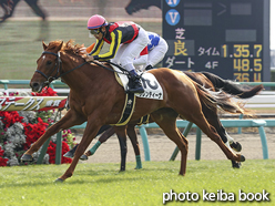 カラープリント(アルミ枠なし)2016年12月18日中山3R 2歳未勝利(サレンティーナ)