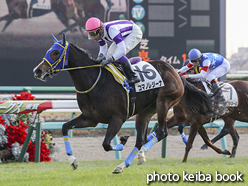 カラープリント(アルミ枠なし)2016年12月18日中山6R 2歳新馬(コマノレジーナ)