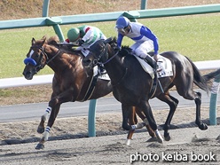 カラーパネル2016年12月18日中山7R 3歳上500万下(マイティーゴールド)