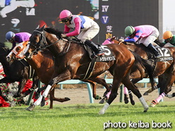 カラープリント(アルミ枠なし)2016年12月18日中山10R 南総ステークス(トウカイセンス)