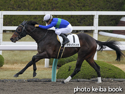 カラープリント(アルミ枠なし)2016年12月23日阪神2R 2歳未勝利(アタックバイオ)