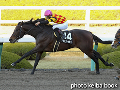 カラーパネル2016年12月23日阪神10R クリスマスキャロル賞(アキトクレッセント)