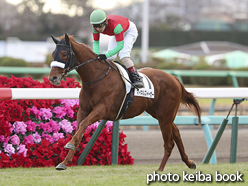 カラープリント(アルミ枠付き)2016年12月23日中山5R 2歳未勝利(マイネルズイーガー)