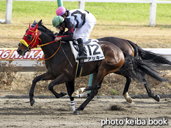 カラーパネル2016年12月23日中山7R 3歳上500万下(アッキー)