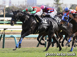 カラーパネル2016年12月23日中山9R クリスマスローズS(マイネルバールマン)