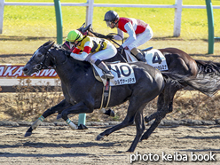 カラーパネル2016年12月24日中山4R 2歳未勝利(シルヴァーメテオ)