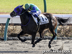 カラーパネル2016年12月24日中山5R 2歳新馬(サクセスライン)