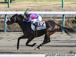 カラープリント(アルミ枠なし)2016年12月24日中山7R 3歳上500万下(タケルラグーン)