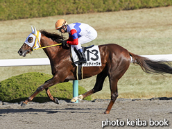 カラープリント(アルミ枠付き)2016年12月25日阪神1R 2歳未勝利(アッティーヴォ)