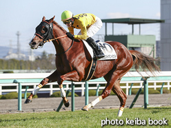 カラープリント(アルミ枠なし)2016年12月25日阪神2R 2歳未勝利(カウントオンイット)