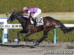 カラープリント(アルミ枠なし)2016年12月25日阪神3R 2歳未勝利(グランドディアマン)