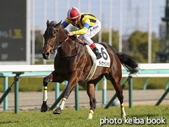 カラーパネル2016年12月25日阪神5R 2歳新馬(ディヴァインハイツ)