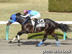 カラーパネル2016年12月25日阪神8R 3歳上500万下(アドマイヤムテキ)