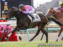 カラープリント(アルミ枠なし)2016年12月25日中山3R 2歳未勝利(スーパーブレイク)