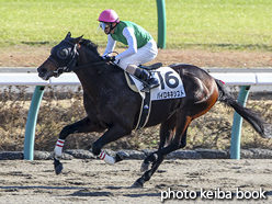 カラープリント(アルミ枠付き)2016年12月25日中山6R 3歳上500万下(パイロキネシスト)