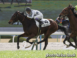 カラーパネル2017年1月5日京都5R 3歳未勝利(ヴィニー)