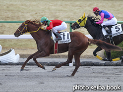 カラープリント(アルミ枠なし)2017年1月5日京都7R 4歳上500万下(マッカートニー)