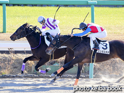 カラープリント(アルミ枠付き)2017年1月5日中山1R 3歳未勝利(コマノレジェンド)