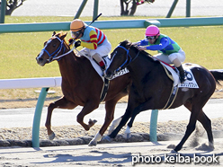 カラープリント(アルミ枠なし)2017年1月5日中山2R 3歳未勝利(エドノライト)