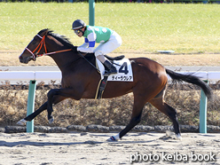 カラープリント(アルミ枠付き)2017年1月5日中山3R 3歳新馬(ティーラウレア)