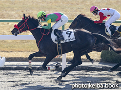 カラープリント(アルミ枠なし)2017年1月7日京都1R 3歳未勝利(アルムチャレンジ)