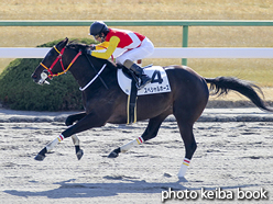 カラープリント(アルミ枠なし)2017年1月7日京都3R 3歳新馬(スペシャルホース)