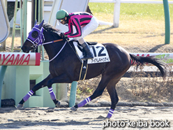 カラープリント(アルミ枠なし)2017年1月7日中山1R 3歳未勝利(アイアムキャツアイ)