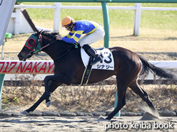 カラープリント(アルミ枠なし)2017年1月7日中山4R 3歳新馬(シナジー)