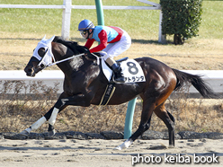 カラーパネル2017年1月7日中山7R 4歳上1000万下(アトランタ)