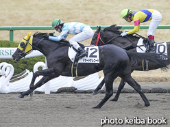 カラーパネル2017年1月8日京都3R 3歳未勝利(マラードザレコード)