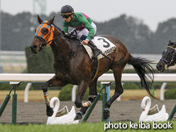 カラープリント(アルミ枠付き)2017年1月8日京都5R 3歳未勝利(ライオネルカズマ)