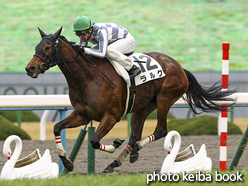 カラーパネル2017年1月8日京都8R 4歳上500万下(ラルク)