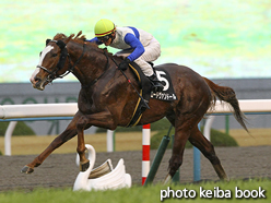 カラープリント(アルミ枠付き)2017年1月8日京都10R 寿ステークス(ロードヴァンドール)