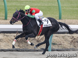 カラーパネル2017年1月8日中山7R 4歳上500万下(マイネルトゥラン)