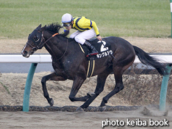 カラーパネル2017年1月8日中山9R 成田特別(キングルアウ)