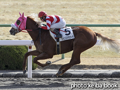 カラープリント(アルミ枠付き)2017年1月14日京都4R 3歳新馬(クインズマラクータ)