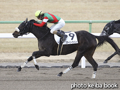 カラーパネル2017年1月14日京都8R 4歳上500万下(スターリーウインド)