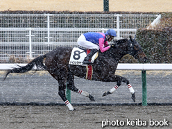 カラープリント(アルミ枠付き)2017年1月14日中京1R 3歳未勝利(メイショウササユリ)