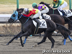 カラーパネル2017年1月14日中山2R 3歳未勝利(ウォルプタス)