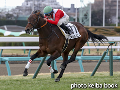 カラープリント(アルミ枠なし)2017年1月14日中山6R 3歳新馬(スカルバン)