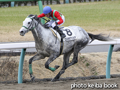 カラープリント(アルミ枠なし)2017年1月14日中山7R 4歳上500万下(コスモボアソルテ)