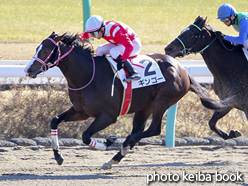 カラープリント(アルミ枠付き)2017年1月15日中山4R 4歳上500万下(ギンゴー)