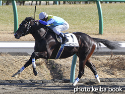 カラープリント(アルミ枠付き)2017年1月15日中山8R 4歳上1000万下(ドラゴンキングダム)