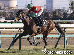 カラープリント(アルミ枠付き)2017年1月15日中山10R ニューイヤーステークス(マイネルアウラート)